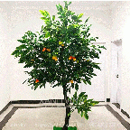 Cây xoài giả _Thiết kế theo yêu cầu 